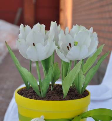 Torte di fiori