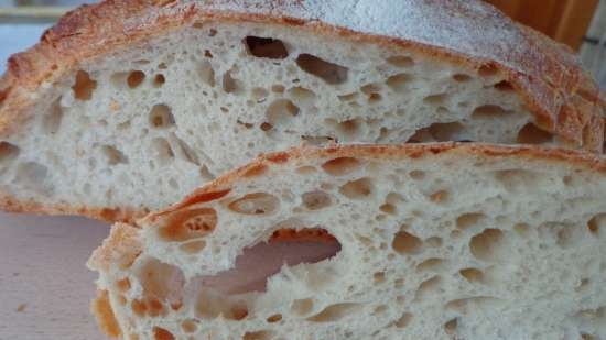 Pane rustico francese Pain de Campagne