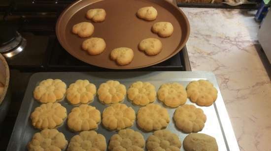 Jeringa de prensa de galletas