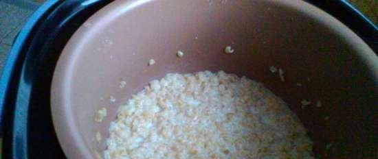 Oat flakes Hercules with milk in a multicooker Philips 3060