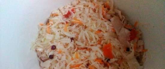 Cabbage soup with sour cream in a slow cooker