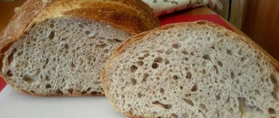 Pane Integrale Con Lievito Di Banana Liquido