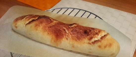 Deeg voor tortilla's, pizza, khachapuri in 5 minuten per dag