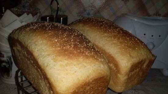 Anadama - Famous New England Bread (Peter Reinhart) (forno)