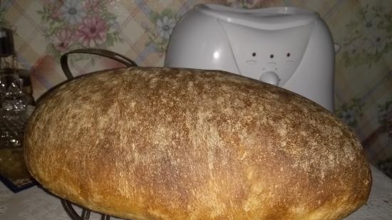 Pane al latte a lievitazione naturale