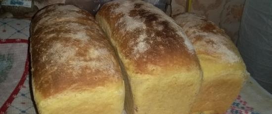 Anadama - Famous New England Bread (Peter Reinhart) (forno)