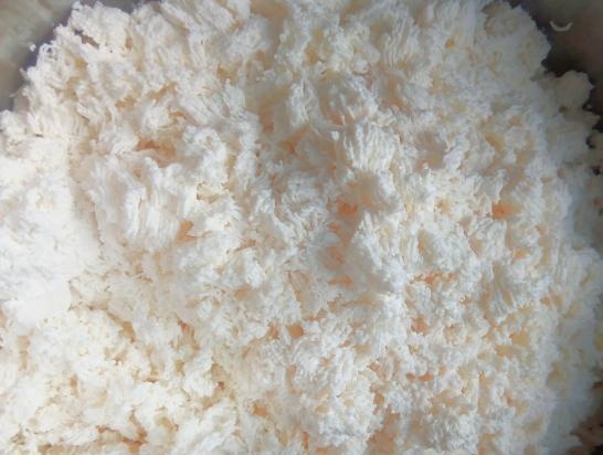 Ricotta di Pasqua con uvetta e semi di papavero (senza uova)