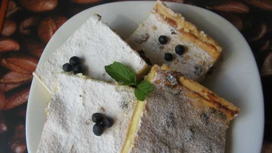 Curd pie with raisins and lemon notes