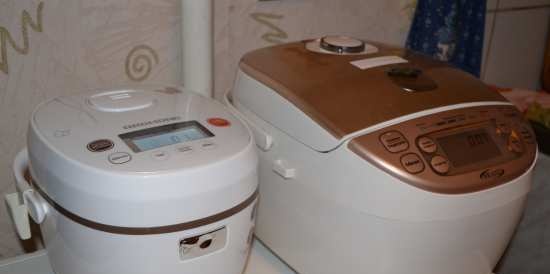 Multicooker Redmond RMC-01