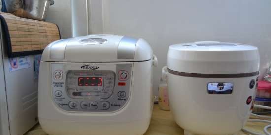 Multicooker Redmond RMC-01