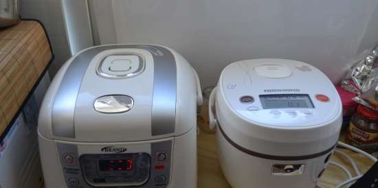 Multicooker Redmond RMC-01