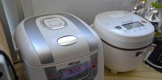 Multicooker Redmond RMC-01