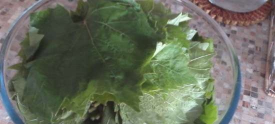 Dolma