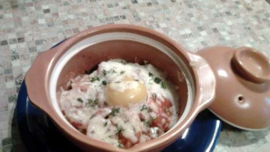 Rostiu l'olla màgica al forn.