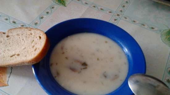 Czech sopas Mushroom kulaida (pressure cooker Steba DD2)