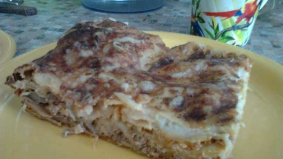 Lasagne with meat and mushrooms (Multicuisine DeLonghi)