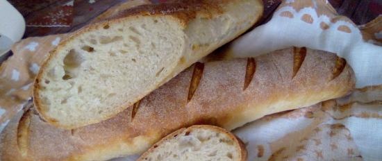 Baguette di lievito liquido