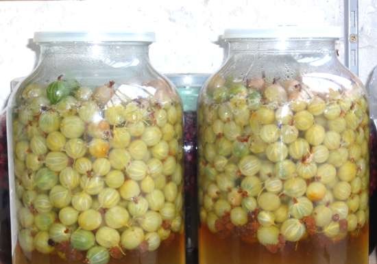 Homemade wine Shaturskoe solar