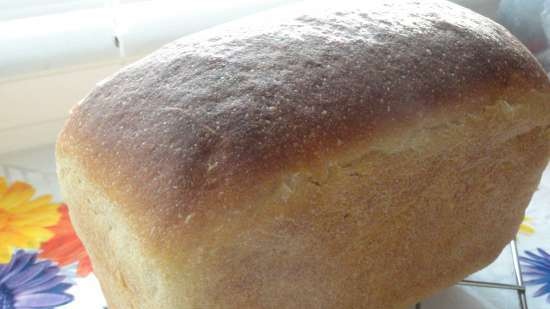 Plain Wheat Sourdough Corn Flour Bread