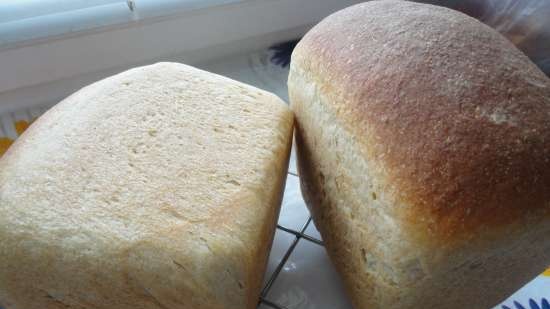 Pane lievito di frutta con farina di mais e segale