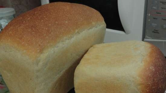 Pane di grano saraceno (uno in più)