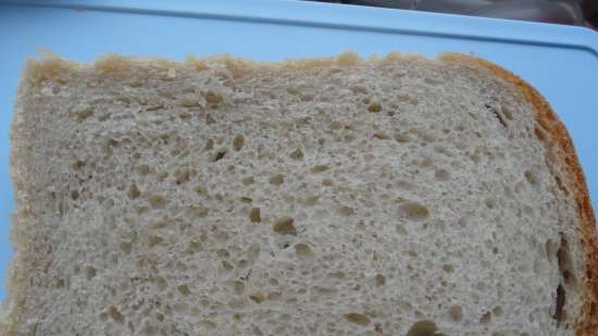 Pane di grano saraceno (uno in più)