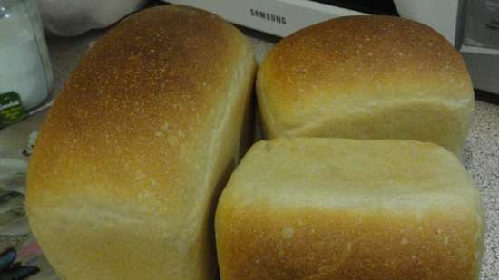 Pane di grano saraceno (uno in più)