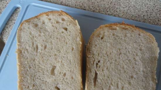 Pane di grano saraceno (uno in più)