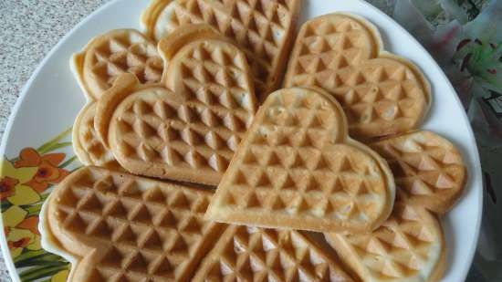 Wafels in een wafelijzer GF-040 Wafel-Grill-Toast