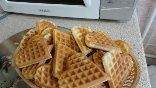 Waffle in una piastra per cialde GF-040 Waffle-Grill-Toast