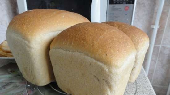 Pane di grano saraceno (uno in più)