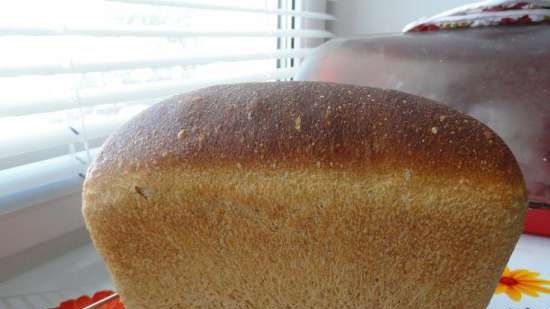 Simple Wheat Sourdough Corn Flour Bread