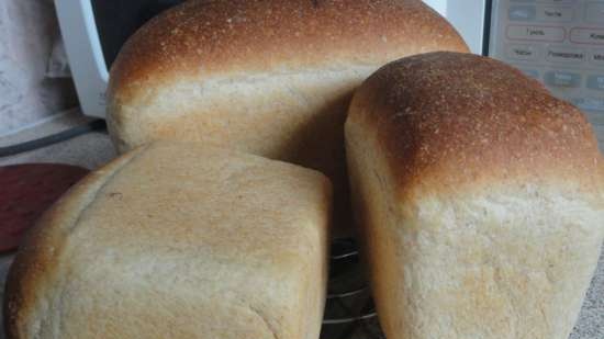 Pane preparato con lievito di limone