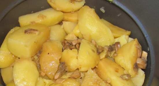 Patates amb xampinyons a l'olla a pressió Comfort Fy 500