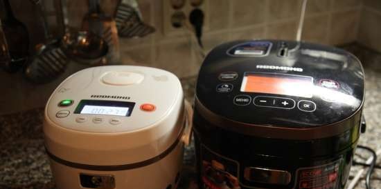 Multicooker Redmond RMC-250