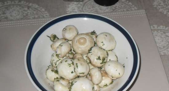 Champignon leggermente salati in salamoia di cavolo senza colare