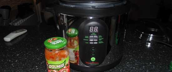 Recetas multicocinadores Moulinex Minute Cook CE4000