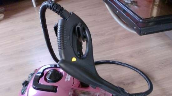 Steam cleaner (steam generator)