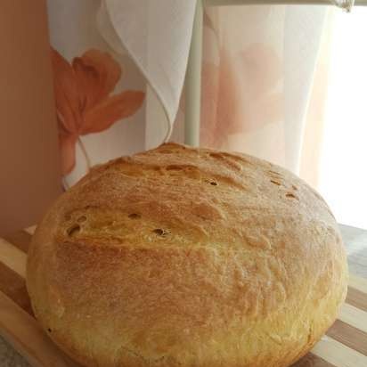 Sunny yeast pumpkin bread