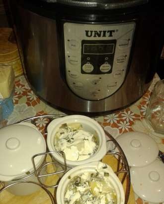 Multi-cooker-snelkookpan-rokerij-eenheid USP-1210S