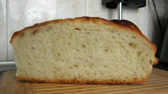 Pane artigianale senza impastare