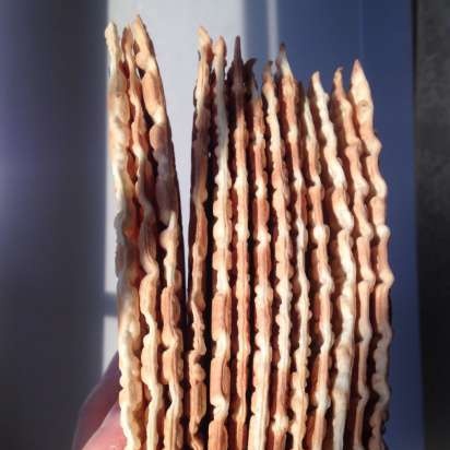 Rug chips, chips, eller ikke-kosher matzo