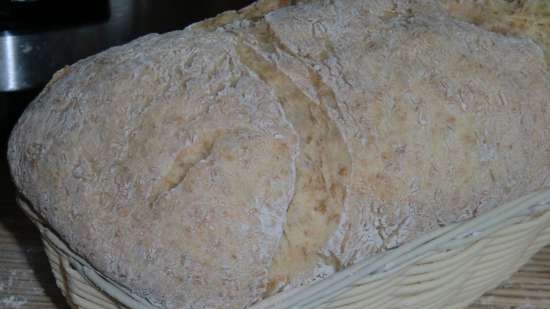 Pane a base di Doctor's