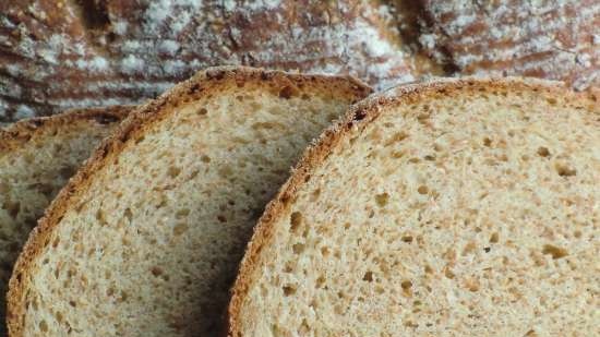 Pane a base di Doctor's