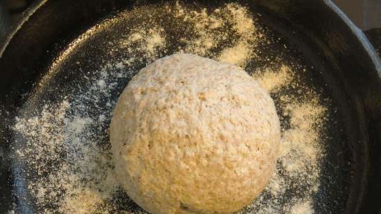 Pane vivo senza farina con semi e noci