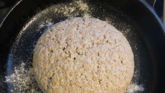 Living bread without flour with seeds and nuts