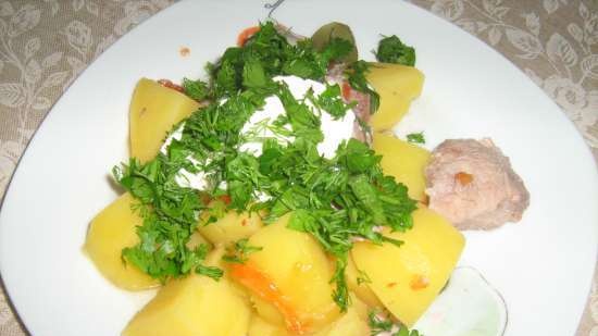 Pot of meat and vegetables with broth