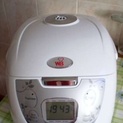 Multicooker WELLBERG 101.