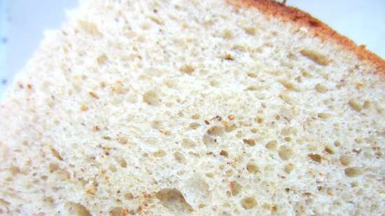 Sourdough dough on a long dough and brine from a mixture of flour and bran for khachapuri (bread, roll)