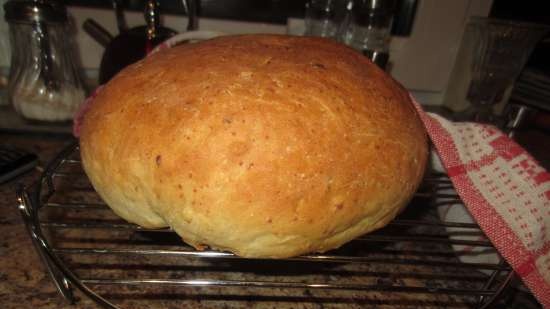 Pane di grano con zucchine e formaggio (al forno)